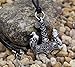 TTKP Norse Odin Thors Hammer Mjolnir Viking Viking Wolf And Raven Pendant Ancient Birds Necklace