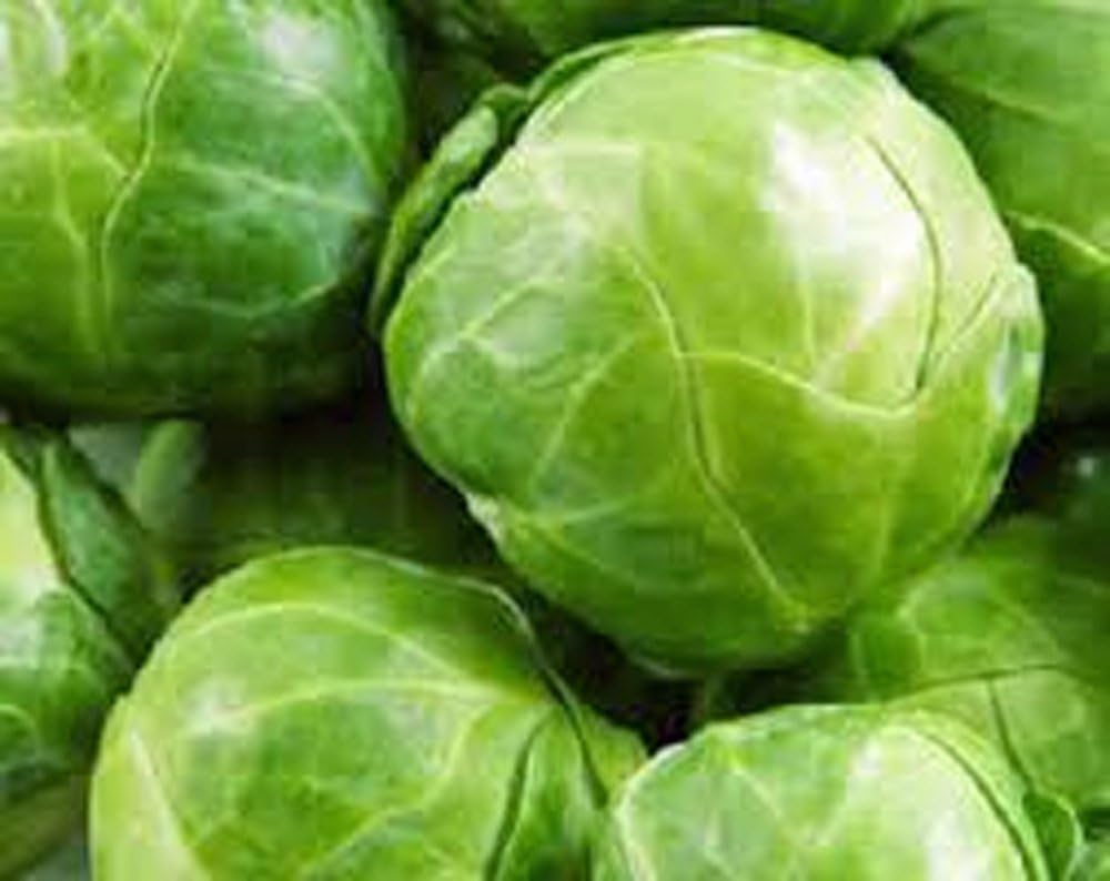 Brussel Sprouts, Long Island Improved Seeds, Organic, NON-GMO, 25+ seeds per package,Brussel Spouts are super healthy. They are also low calorie.