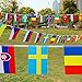 Buytra 100 Countries Flags 82ft International Flags Bunting Banner for Party Decorations,Olympics,Grand Opening,Bar,Sports Clubs,School Events,Cultural Studies and More