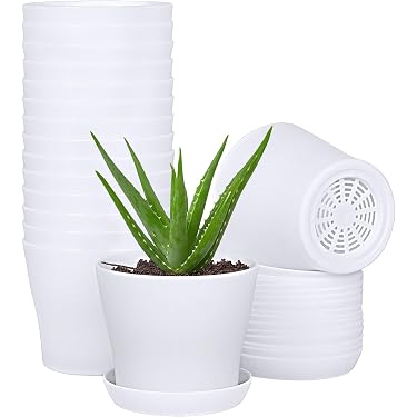 Amazon Best Sellers: Best Planter Nursery Pots