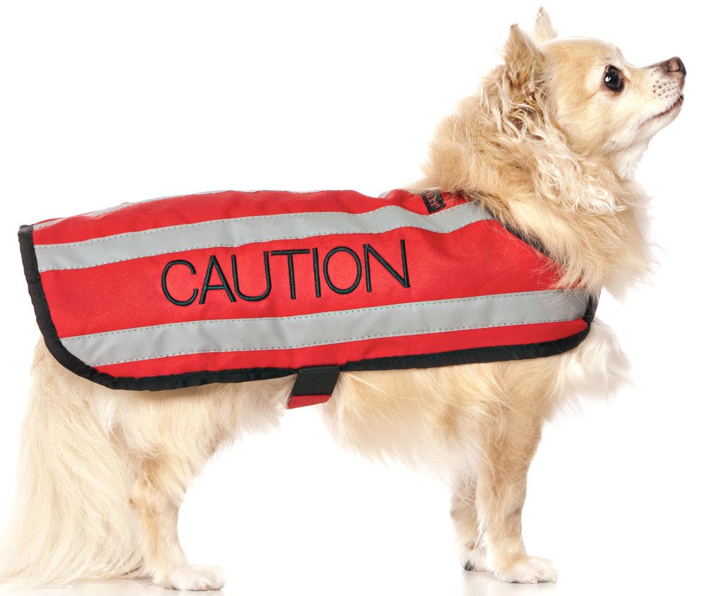Dexil CAUTION (Do Not Approach) Red Colour Coded S M L Reflective Waterproof Fleece Lined Warm Dog Coats PREVENTS Accidents By Warning Others Of Your Dog In Advance (S)
