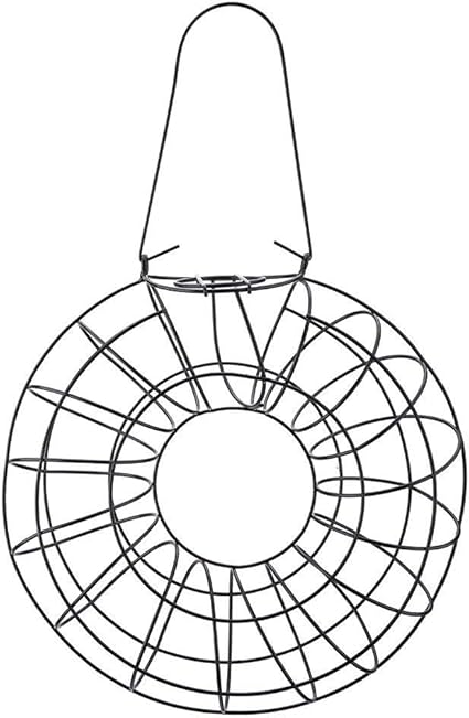 Amazon Com Jimfoty Squirrel Proof Bird Feeder Outdoor Hanging