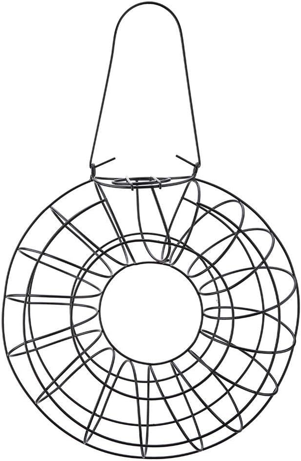 Amazon Com Jimfoty Squirrel Proof Bird Feeder Outdoor Hanging
