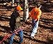 Double Deer Drag - The Easiest Way to GET Your Next Deer Out of The Woods ! Finally A Deer Drag That Really Works!!