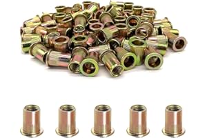 50PCS -Rivet Nuts, M10 Carbon Steel Metric Rivet Nut Assortment Kit, Flat Head Threaded Insert Nutserts Assort,for Automotive