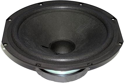 12 inch woofer