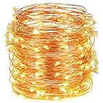 Oak Leaf 30 Super Bright LED Rope and String Light, 9.8 Feet, Warm White, 2-Set