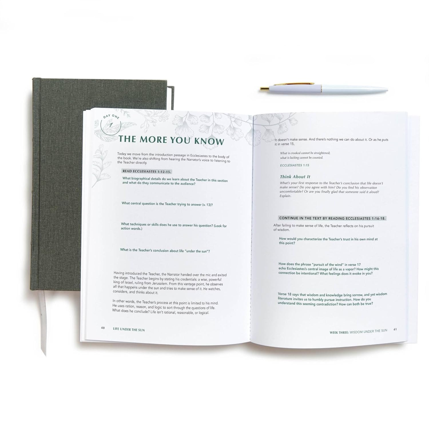 Life Under the Sun - Bible Study Book: The Unexpectedly Good News of Ecclesiastes