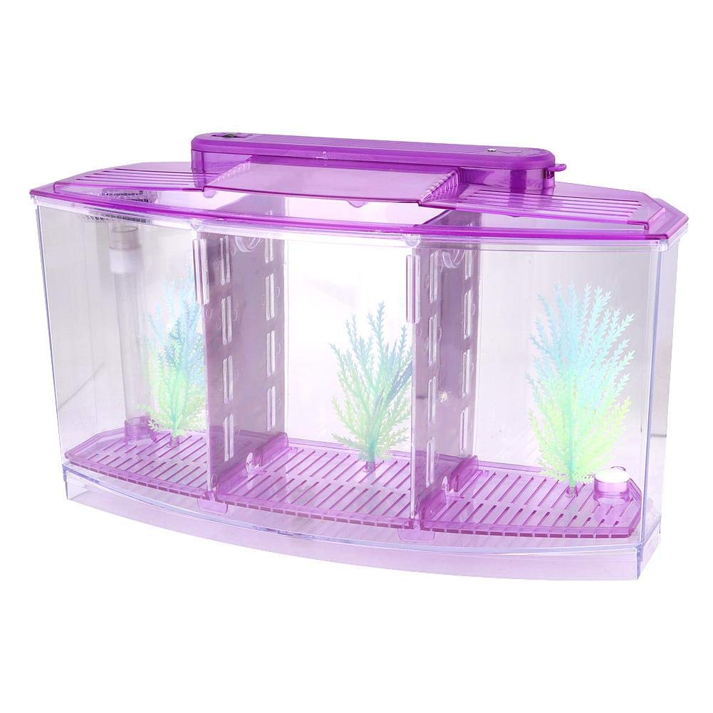 Nunafey Fish Tank, Acrylic Desktop Three Areas Breeding Fish Tank, Transparent for Small Fishes for Betta(purple)