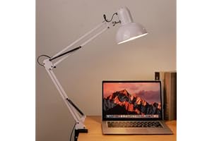 Zerodis LED Reading Light with Clamp,Flexible Adjustable Clamp On Desk Lamp Long Arm Kids Book Light with Metal Lampshade for