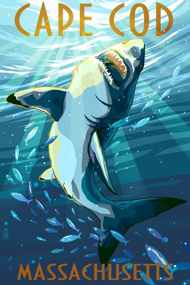 Cape Cod, Massachusetts - Great White Shark (12x18 Art Print, Wall Decor Travel Poster)