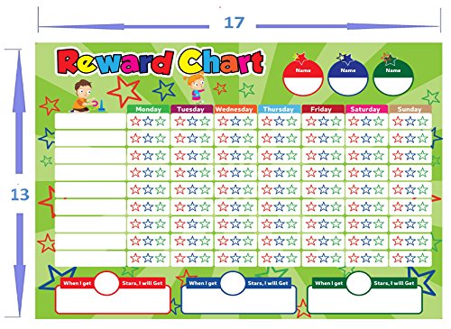2 Magnetic+Behavior+Multiple+Toddlers+Responsibility