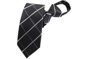 Secdtie Men's Boy's Zipper Tie Business Wedding Solid Checks Striped Designer Necktie