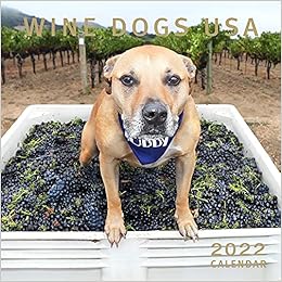 Wine Dogs 2022 Calendar: Craig Mcgill & Susan Elliott: 9781921336669: Amazon.com: Books