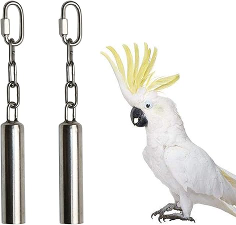 african grey and cockatiel