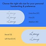 LAMY Safari Mango Fountain Pen F Nib Ergonomic Grip Blue Cartridge view 4