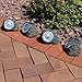 Sunnydaze Decorative Garden Rock Solar Light with White LED Light - Set of 4