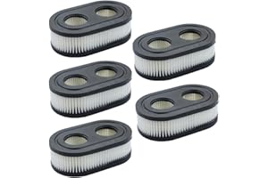 Anxingo 593260 Air Filter Replacement for Briggs & Stratton 798452 550E 500EX 550EX 625 575EX 4247 5432 5432k Series Engine L