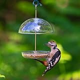 Jacobi Jayne I Love Robins Pearl Feeder Small Garden Bird Feeder view 7