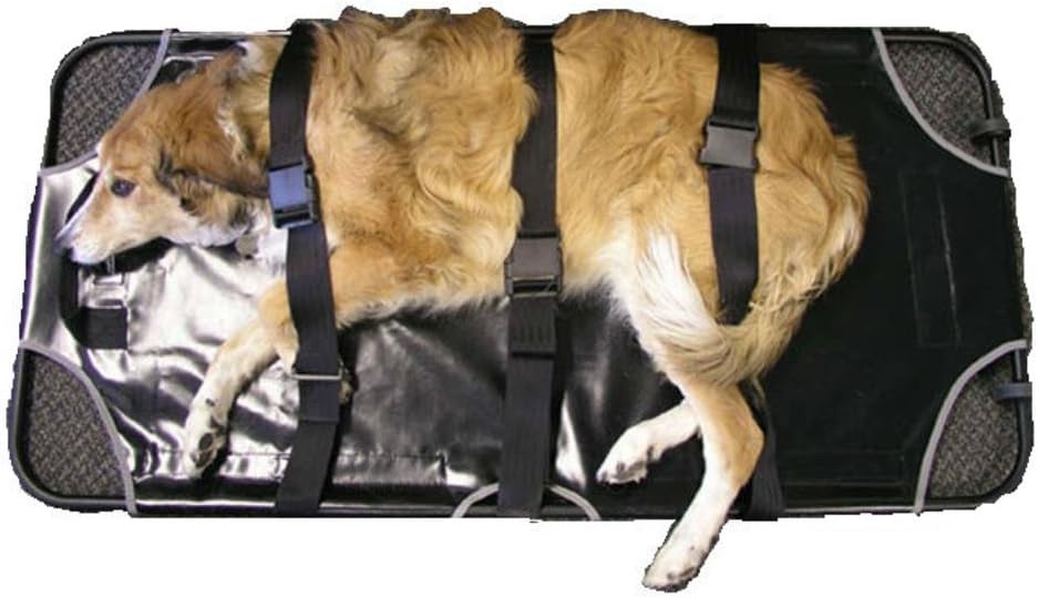 Animal Stretcher * Amazon.ca Pet Supplies