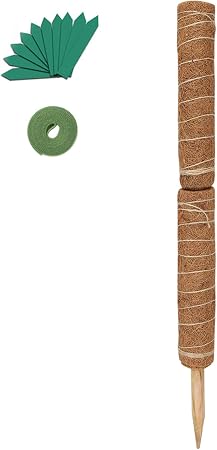 Mât totémique en coco de mousse GROWNEER