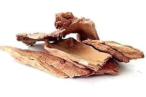 Arjun Ki Chaal - Terminalia Arjuna - Arjunchaal - Arjuna Chaal 250gm