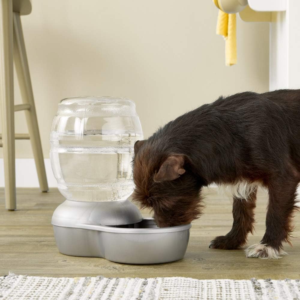 Pet Supplies : Petmate Replendish Gravity Waterer With Microban for Cats and Dogs, 4 Gallons : Pet Self Waterers : 