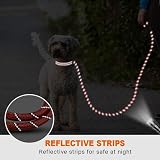 Taglory Rope Dog Lead 1.0 cm, Padded Handle, Reflective, Small Dogs, Red view 5