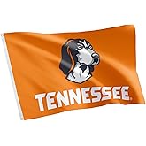 Desert Cactus University of Tennessee Flag Knoxville Volunteers Vols UT Banners 100% Polyester Indoor Outdoor 3x5 feet Flags (Design K)