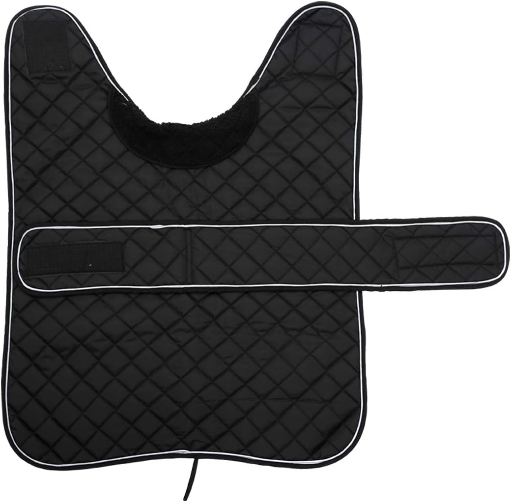 Morezi Dachshund Winter Coat with Padded Fleece Lining - Outdoor Dog Apparel with Adjustable Bands - Black - M - Image 3