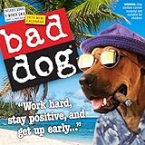 Bad Dog Mini Wall Calendar 2019 by