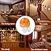USCVIS Small Himalayan Salt Lamp, Natural Crystal Salt Rock, Led Salt Lamp with Color Changer Bulb, 1-1.5 lbs