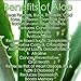 Aloe Vera Leaf-Large 100% Organic