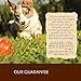 Holistic Select Natural Dry Dog Food, Lamb Meal Recipe, 15-Pound Bag