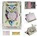 iPad 6 Case, iPad Air 2 Case, Alugs Ultra Slim Fashion Painting Cute Design PU Leather Wallet Magnetic Case Cover for Apple iPad Air 2 & iPad 6 (Owl)