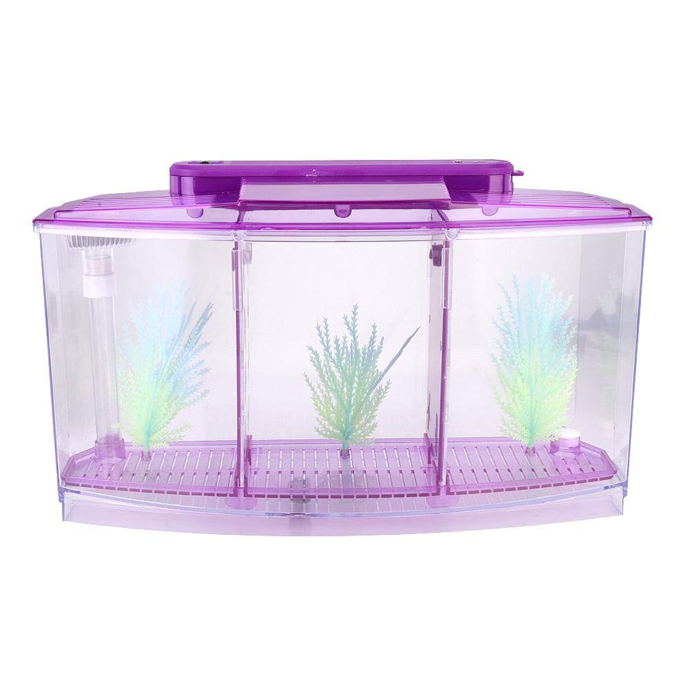 Photo 1 of Breeding Fish , Adjustable Light Mini Fish , Three Areas for Small Fishes Betta()