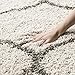 SAFAVIEH Hudson Shag Collection Accent Rug - 4' x 6', Ivory & Grey, Trellis Design, Non-Shedding & Easy Care, 2-inch Thick Ideal for High Traffic Areas in Entryway, Living Room, Bedroom (SGH280A)