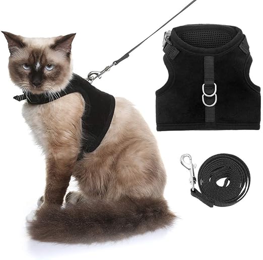 Expawlorer Escape Proof Cat Harness With Leash Best Cat Safety Harness Mesh Adjustable Vest Harness For Cats And Small Dogs Outdoor Walking Amazon Com Au Pet Supplies
