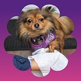 petall Extra Large Hypoallergenic Biodegradable Pet Wipes Fragrance Free 50 view 5