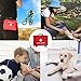 Lx Free Mini First Aid Kit - (100 Pieces) Compact Emergency Bag for Car, Motorcycle, Vehicle, Work, Home & Outdoor Suitable for Baby, Child, Toddler and Pets
