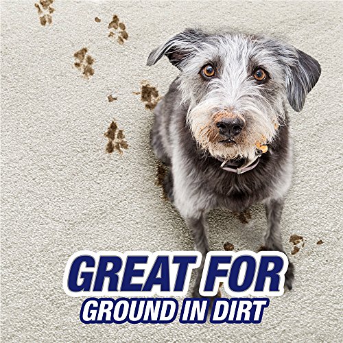 Resolve Pet Expert High Traffic, Carpet Foam, 22 oz (Pack of 4