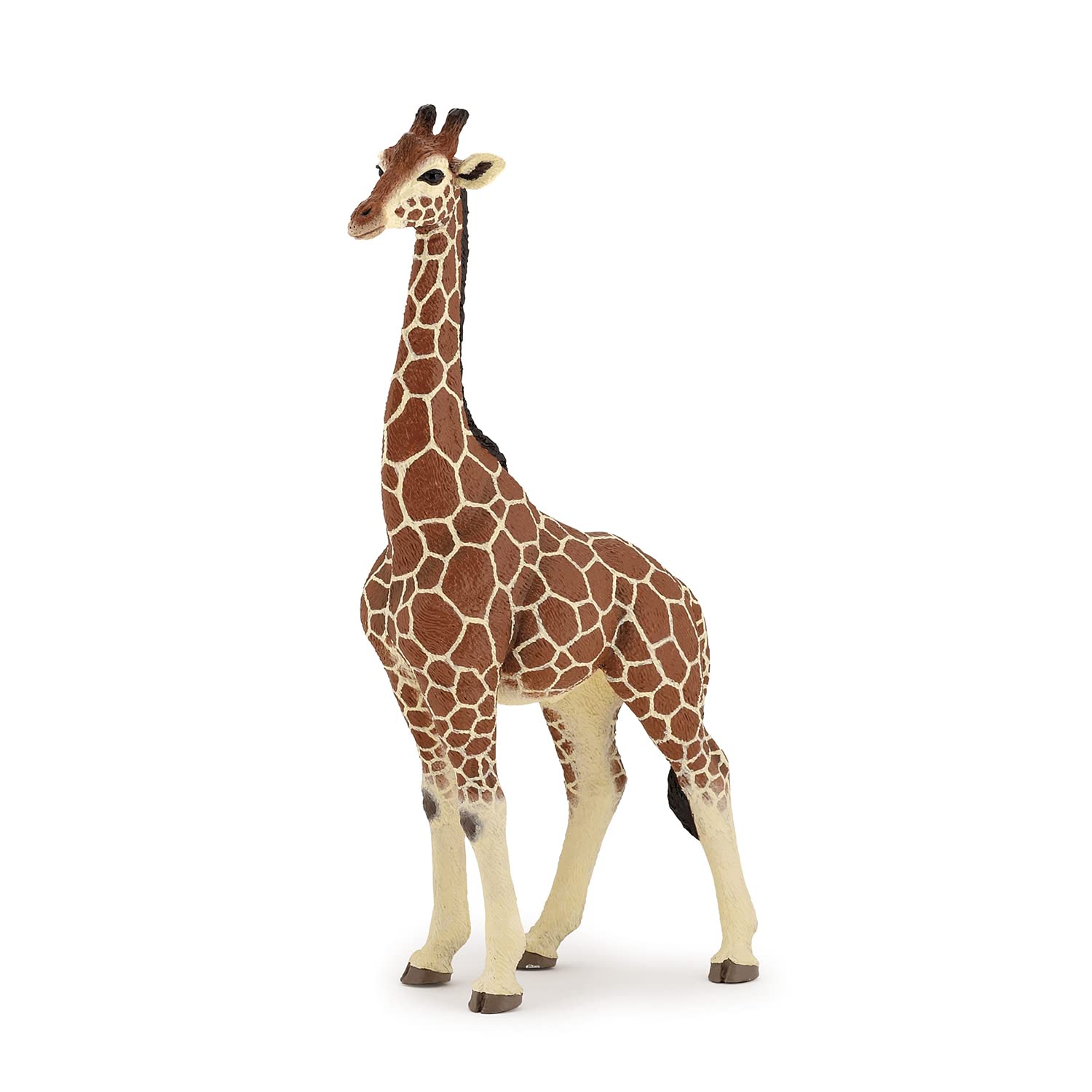 Papo - Realistic Male Giraffe Figure Toy for Kids - Ages 3+ - Wild Life Collection - Educational Play Animal Discovery - Gift Idea Toy for Girls and Boys - 11 Cm X 6 Cm X 20 Cm