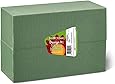 FloraCraft Floral Dry Foam 2 Piece Brick 2.6 Inch x 3.5 Inch x 7.8 Inch Green