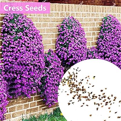 Go Garden 7A6B 228F 9350 100 Piezas RARA de adornar huerto de ...