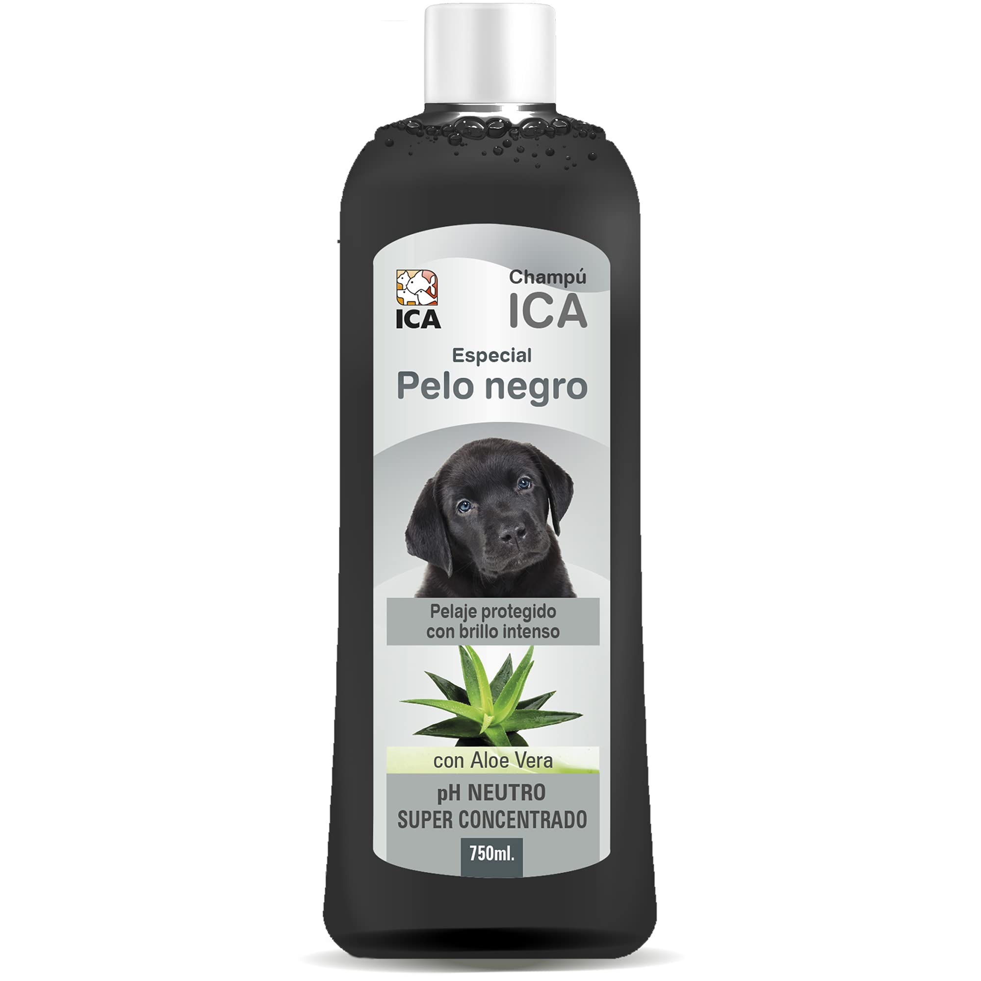 ICA chpm31 Shampoo Special Hair Black with Aloe Vera for Dogs
