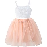 Baby Girl Tutu Dress Lace Strap Dresses A-Line Tiered Tulle Party Sundress for Birthday