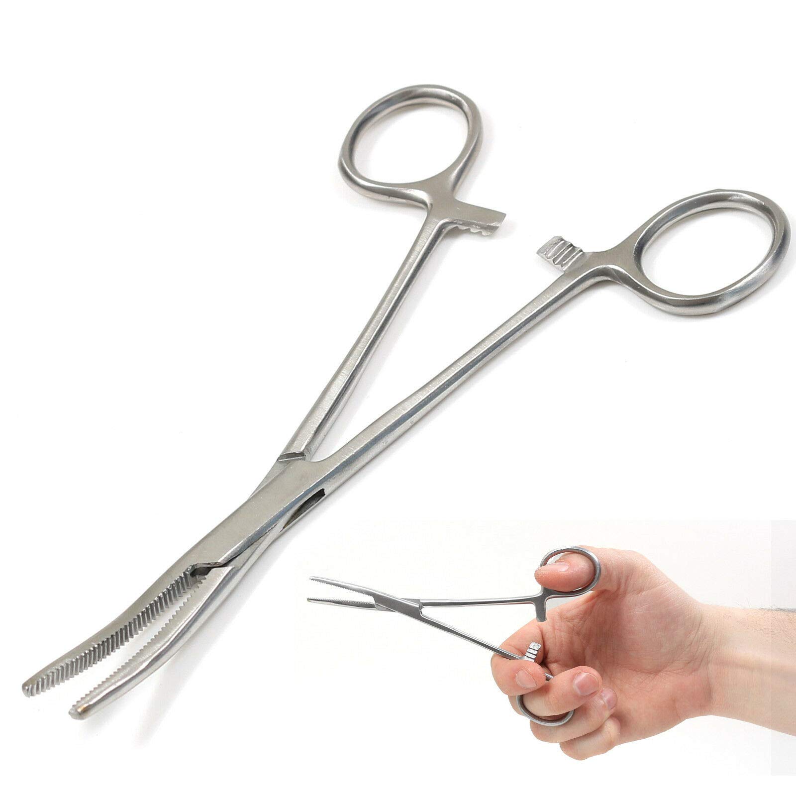 Stainless Steel Fishing Forceps 6'' 8'' 10'' 12'' Straight or Curved Carp Sea Fly (6'' Curved)