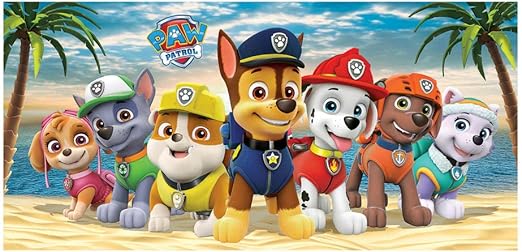 paw patrol beach