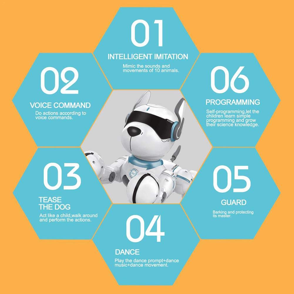 programming stunt smart dog