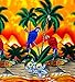 Funky Hawaiian Shirt, Parrot, Yellow, XXL